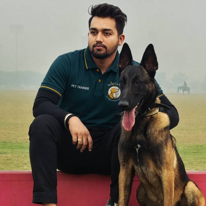Origizn Pets trainer sitting beside a Belgian Malinois on a red platform at an outdoor field on a hazy day