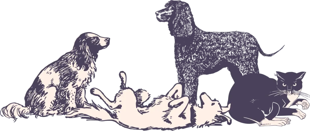 Illustration of two dogs and a cat together