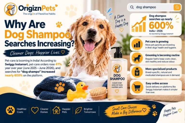 dog shampoo and grooming