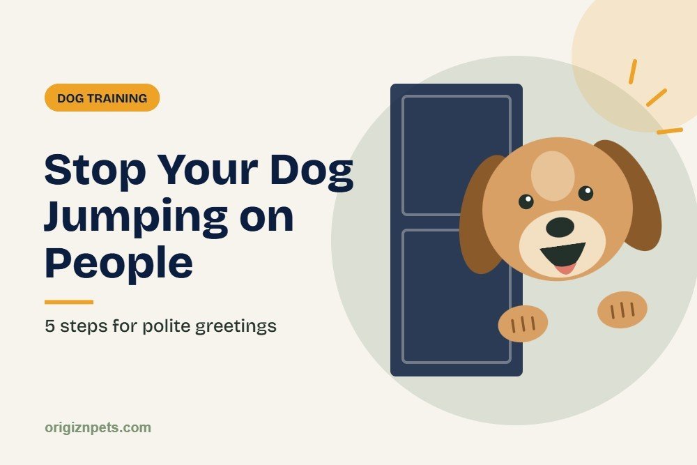 How to stop a dog jumping on people