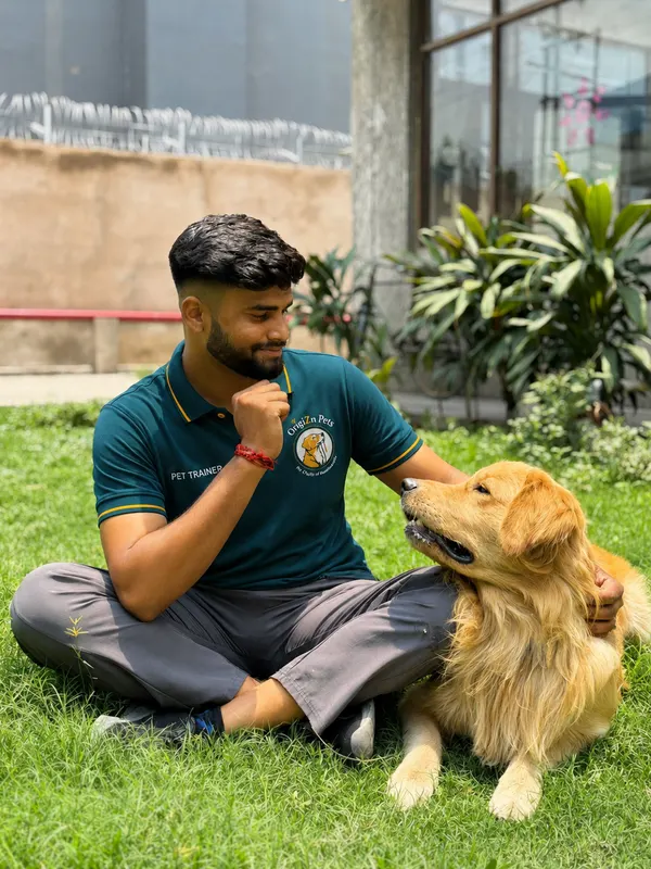 OrigiZnPets dog trainer with a Golden Retriever during an at-home training session in Delhi NCR