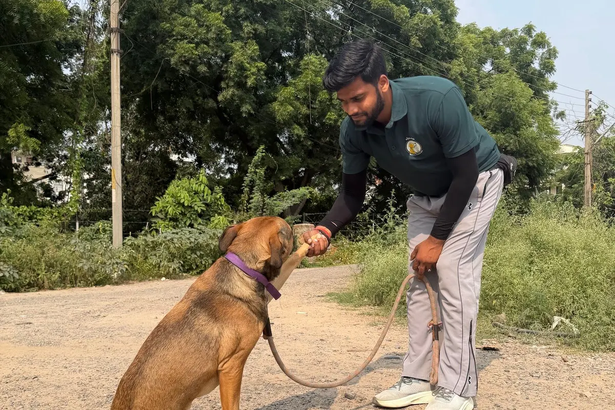 Dog walker walking a dog near home