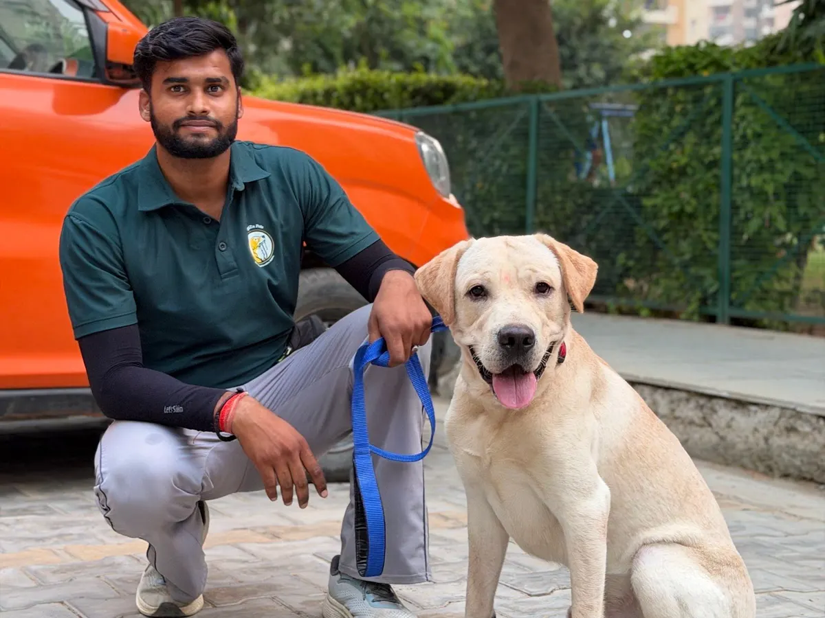 Owner practising the sit command with a Golden Retriever during an at-home training session
