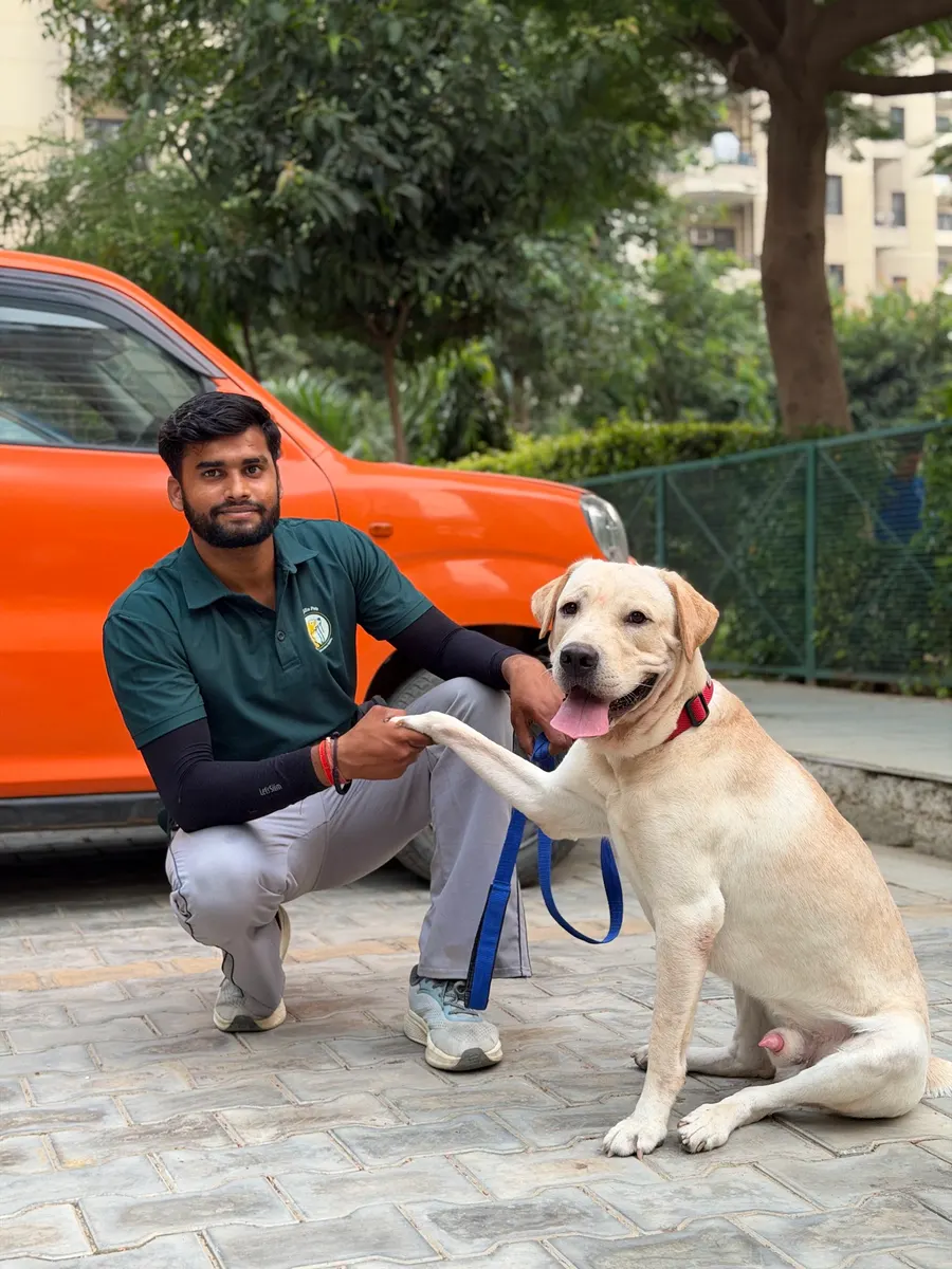 OrigiZnPets trainer teaching a Labrador to shake paw during an at-home training session